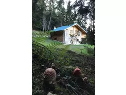 Bild zur gratis inserierten Ferienwohnung mit Sauna in Pieve Di Bono.