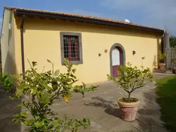 Bild zur gratis inserierten Ferienwohnung Villa Alloro" inmitten der Nerello-Mascalese-Reben.