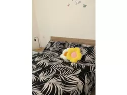 Ferienwohnung "Momy's Home Rom" in Municipio Roma VI - 2 Personen, Hund erlaubt