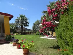 Ferienhaus Casa Solaria in Sìnnia/Sinnai - 4 Personen, Hund erlaubt