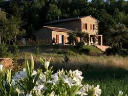 Bild zur gratis inserierten Ferienwohnung in Montescudaio mit Großem Garten.