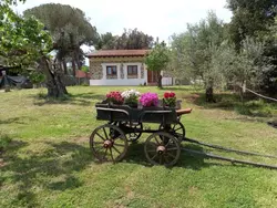 Bild zur gratis inserierten Ferienwohnung "Giotto" mit Terrasse.
