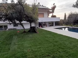 Bild zur gratis inserierten Ferienwohnung Zacchitella Gardenhouse.