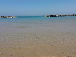 Bild zur gratis inserierten Ferienwohnung Wohnung mit Terrasse.