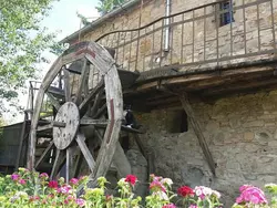 Bild zur gratis inserierten Ferienwohnung Landgut "Il Molino" mit Terrasse und Garten.