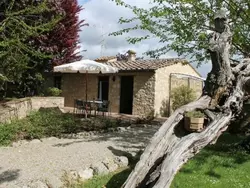 Ferienwohnung 'Santinovo olivo' mit Pool in Colle di Val d'Elsa - 4 Personen, Hund erlaubt