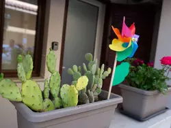 Ferienwohnung piano terra in Balestrate - 2 Personen, Hund nicht erlaubt