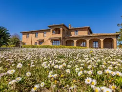 Ferienwohnung Wohnung 'Noble Sanguineto in Montepulciano - 4 Personen, Hund erlaubt