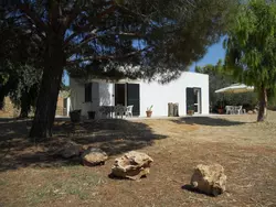 Bild zur gratis inserierten Ferienwohnung Schönes und gemütliches Studio-Apartment.