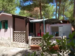 Ferienwohnung Wohnung in Vieste mit Privatparkplatz in Vieste - 4 Personen, Hund erlaubt