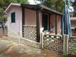 Bild zur gratis inserierten Ferienwohnung Orchideen-Ferienwohnung mit überdachter Veranda.