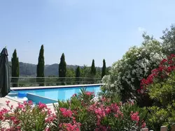 Ferienhaus Ferienvilla 'Villa Bobolino in Montelupo Fiorentino - 13 Personen, Hund erlaubt