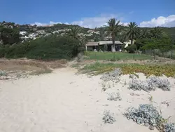 Bild zur gratis inserierten Ferienwohnung Palma direkt am Meer.