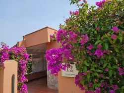 Bild zur gratis inserierten Ferienwohnung 'Trilo Luna.