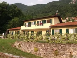 Ferienhaus Villa zur alleinigen Nutzung mit 4 Wohnungen in Oliveto Lario - 20 Personen, Hund erlaubt