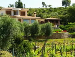 Bild zur gratis inserierten Ferienwohnung Weintrauben und Sterne Maison" Touristenunterkunft.