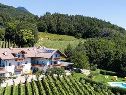 Bild zur gratis inserierten Ferienwohnung Apartment Merlot in Kurtatsch mit Panoramablick.