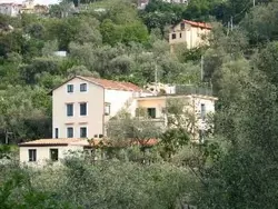 Ferienwohnung Kleine Wohnung auf einem Bauernhof in Sant'Agnello - 2 Personen, Hund erlaubt