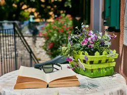 Bild zur gratis inserierten Ferienwohnung Komfort-Apartment mit Balkon BV1.