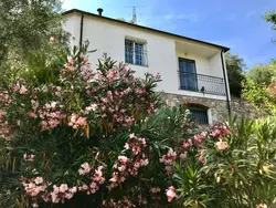 Bild zur gratis inserierten Ferienwohnung Casa Mediteraneo.