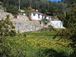 Bild zur gratis inserierten Ferienwohnung Casa Uliveto.