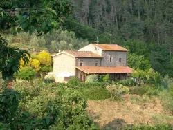 Bild zur gratis inserierten Ferienwohnung Bauernhaus Biancospino.