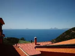 Bild zur gratis inserierten Ferienwohnung Mandelbaum-Wohnung.