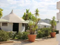 Bild zur gratis inserierten Ferienwohnung Heart of Palms Mono.