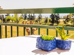 Bild zur gratis inserierten Ferienwohnung Studio mit Korallenblick in Chianchitta-Pallio.