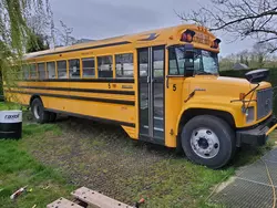 Bild zur gratis inserierten Ferienwohnung Ungewöhnliche Übernachtung in einem authentischen amerikanischen Schulbus.