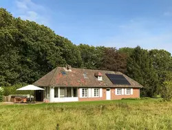 Ferienhaus Heidebos für 8 Personen in Gruitrode - 8 Personen, Hund erlaubt