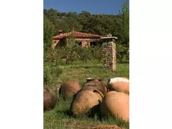 Ferienhaus Schönes Steinhaus El Buho in Huelva (Andalusien) - 2 Personen, Hund erlaubt