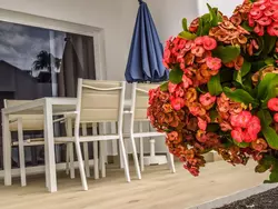 Bild zur gratis inserierten Ferienwohnung Apartamento con terraza.