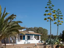 Bild zur gratis inserierten Ferienwohnung Casa Llevant 4 pax.