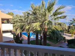 Bild zur gratis inserierten Ferienwohnung Wohnung Stella, 1. Reihe Meerblick und Palmen.