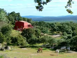 Bild zur gratis inserierten Ferienwohnung Das Cortijo auf der Finca al-manzil.