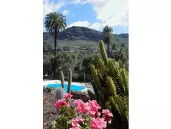 Bild zur gratis inserierten Ferienwohnung El Olivar.