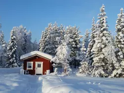 Ferienhaus Järvstuga in Arvidsjaurs kommun - 4 Personen, Hund erlaubt