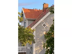 Ferienwohnung Öland Idyll in Mörbylånga kommun - 4 Personen, Hund nicht erlaubt