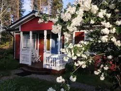 Ferienhaus Karlsson in Högsby kommun - 5 Personen, Hund erlaubt