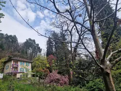 Bild zur gratis inserierten Ferienwohnung La Pineta.