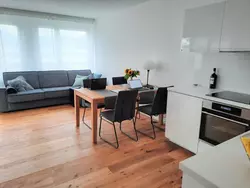 Bild zur gratis inserierten Ferienwohnung Panorama Locarno.