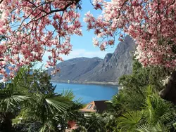 Ferienwohnung Garten-Wohnung in Lugano - 3 Personen, Hund nicht erlaubt
