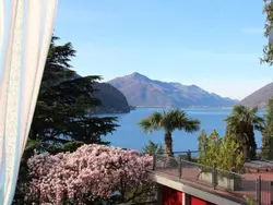 Bild zur gratis inserierten Ferienwohnung Olive.