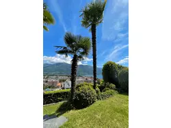 Bild zur gratis inserierten Ferienwohnung Villa Zurigo.