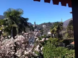 Ferienwohnung Casa Viola in Losone - 4 Personen, Hund erlaubt