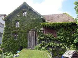 Bild zur gratis inserierten Ferienwohnung das schiefe Haus.