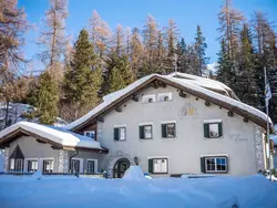 Bild zur gratis inserierten Ferienwohnung Chesa Fümm Wohnung: "La staila".