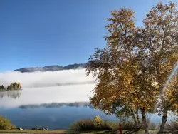 Bild zur gratis inserierten Ferienwohnung Arnica 2 La Punt.