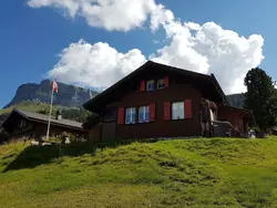 Bild zur gratis inserierten Ferienwohnung Chalet Birki Axalp.